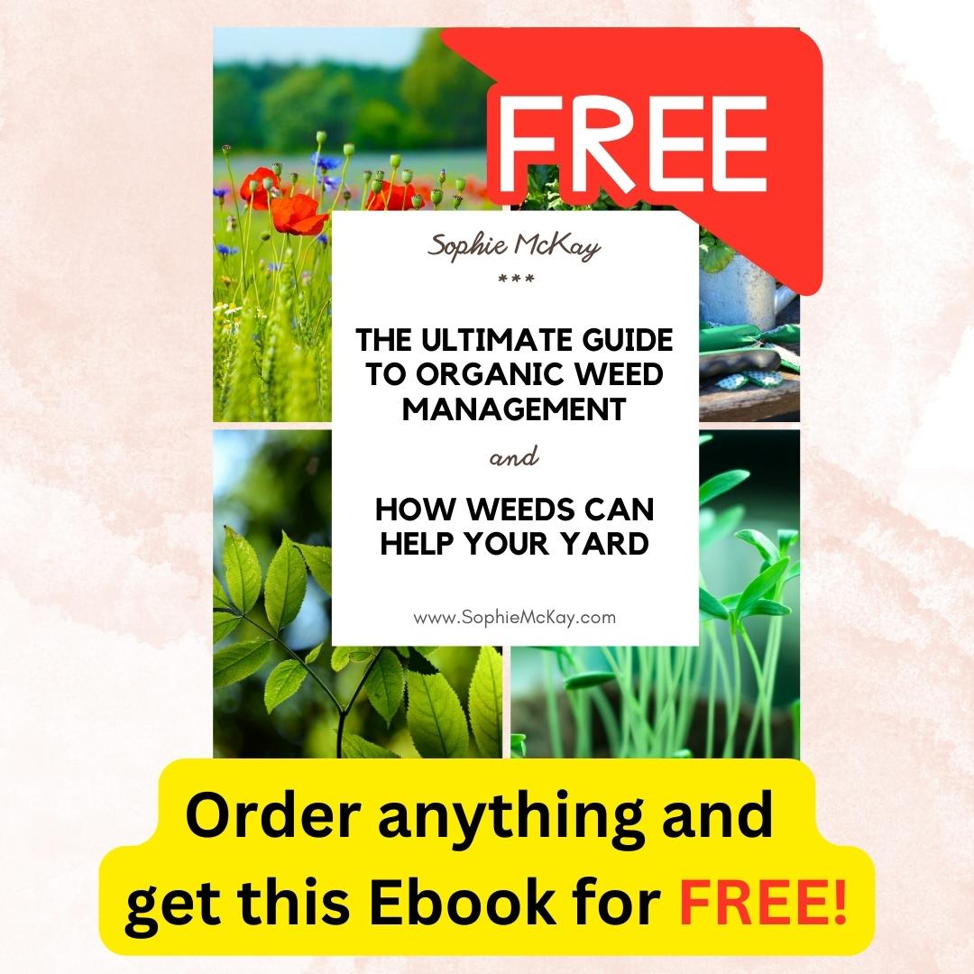 the ultimate guide to organic weed management